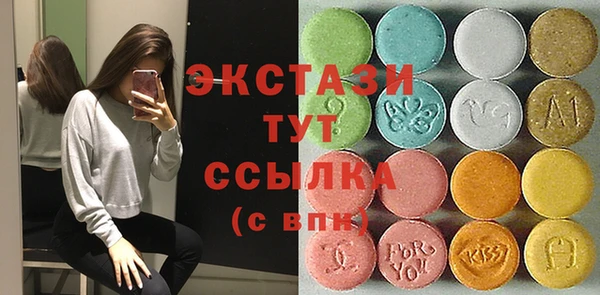 СК Пересвет