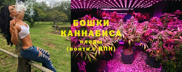 Альфа ПВП Пестово