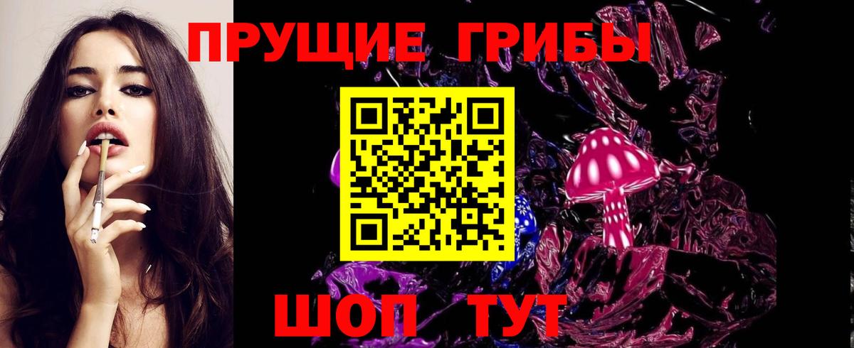 Ленинск-Кузнецкий  Псилоцибиновые грибы GOLDEN TEACHER  Псилоцибиновые грибы GOLDEN TEACHER  Вход с VPN 